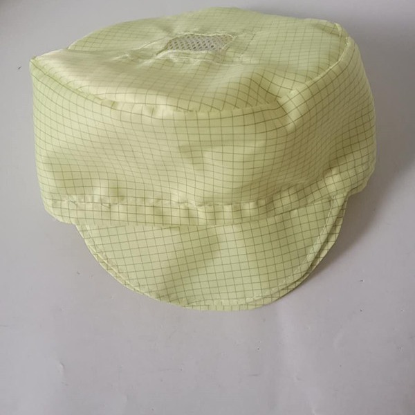 Anti-Static Small Work Cap Mesh White Blue Dust-Free Workshop Food Factory Protective Cap for Men and Women Foxconn Static