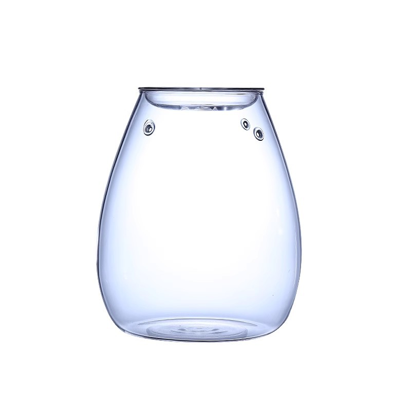 Glass bottle landscape natural tropical mini desk small decoration aquarium Moss ecological bottle