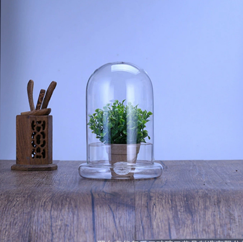 Micro-Landscape Glass Cover Split Bottle Immortal Flower Glass Dust Cover Ecological Bottle Moss Succulent Plant Landscaping Bottle
