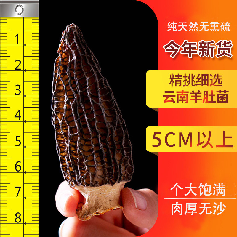 Оптовая продажа целой коробки сушеных грибов морчелла, более 5 штук, с ручкой, крупные съедобные грибы для супа, недорогой вариант