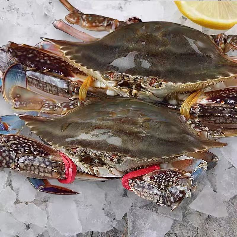 Свежий и очень большой пакет морепродуктов 1.5кг замороженных белых крабов из Чжэцзян