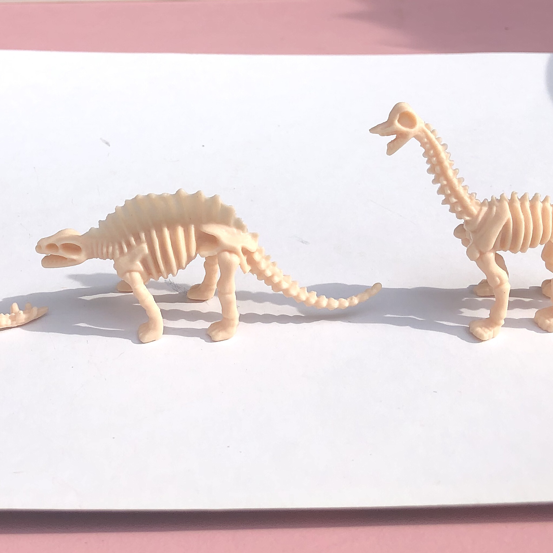 Dinosaur skeleton model archaeological excavation dinosaur fossil simulation dinosaur keel Tyrannosaurus Stegosaurus Triceratops wholesale