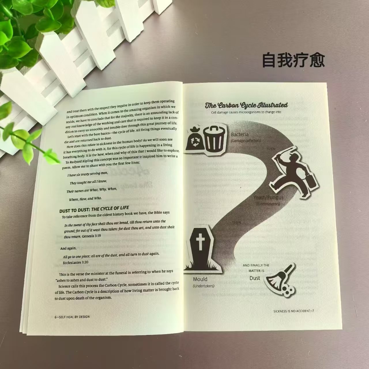 Self Heal by Design- the Role of Micro-Organ English Version