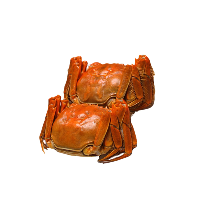 Live Hairy Crabs in Stock, Fresh Whole Female and Male Crabs in Gift Boxes, Shipped Via Sf Express with Free Delivery