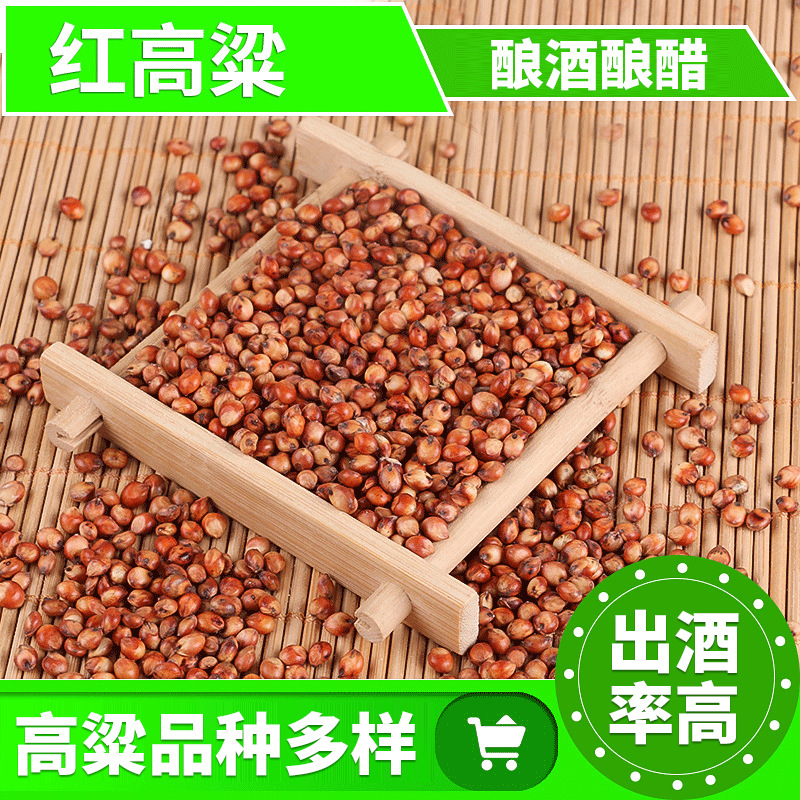 Вино и уксус, варка красного сорго, оптом, очищенное сорго, корм для голубей, клейкое сорго, северо-восточное красное сорго, ферма