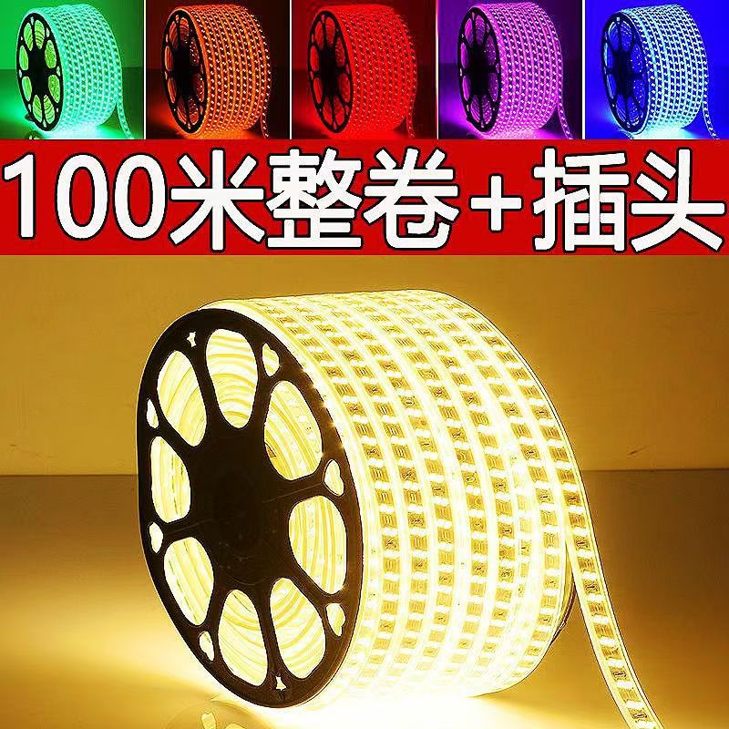 220V high voltage outdoor waterproof LED lights with living room exterior wall special engineering flexible linear set of glue light wholesale