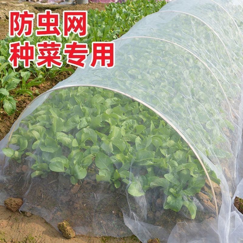 Insect-Proof Net for Vegetable Greenhouses, Agricultural Breeding Net, Mosquito-Proof Net, Vegetable Net, Locust-Proof Mesh Net, Garden Insect Net, Mesh Net
