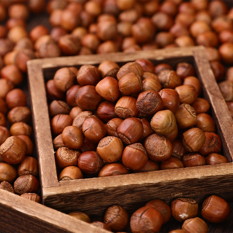 Liaoning Tieling Kaiyuan open hazelnut thin skin large particles northeast specialty dried fruit fried goods new goods factory direct delivery