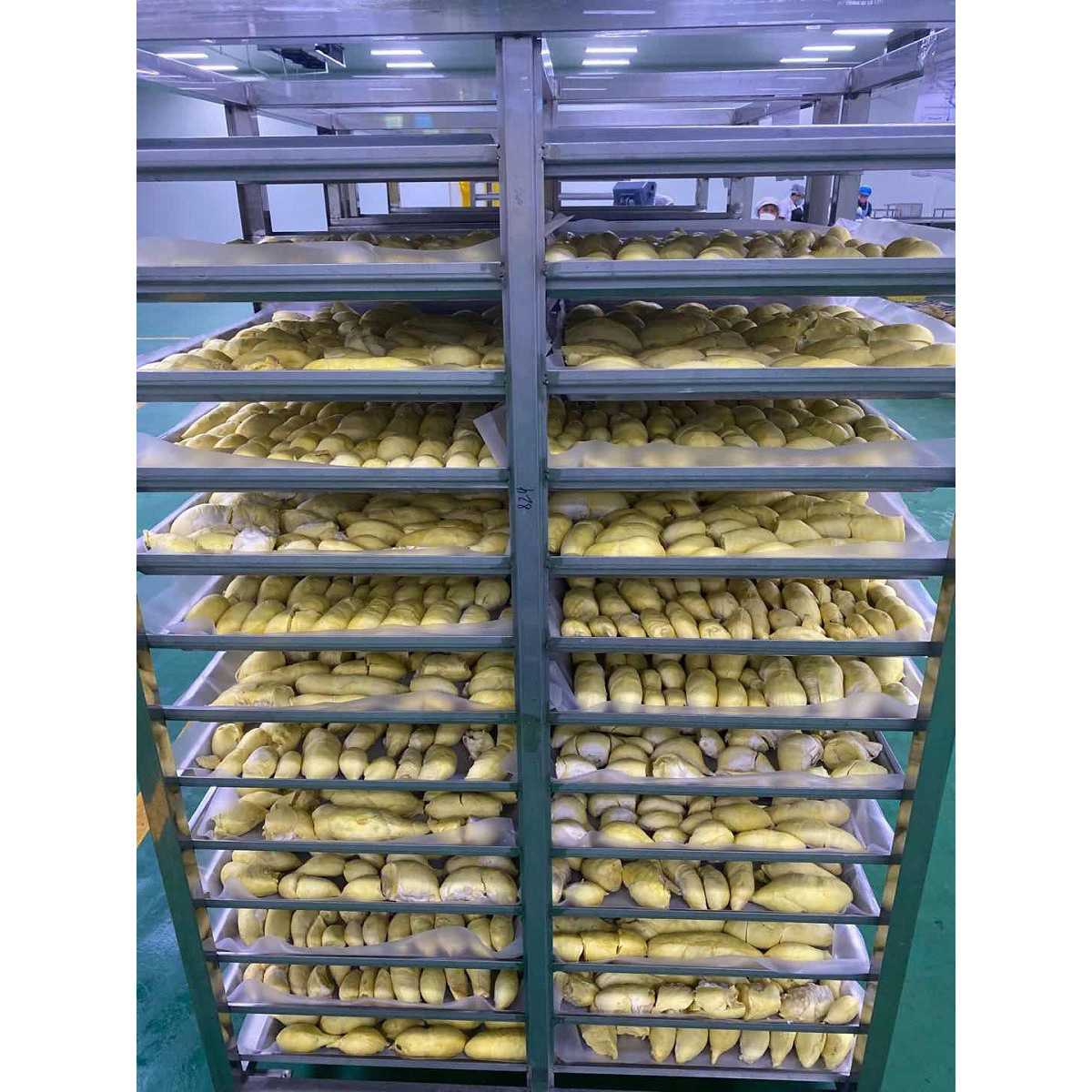 Thai Golden Pillow Fresh Frozen Durian B-Grade Seed-Free Pure Pulp Food Baking Ingredients Commercial First-Hand Supply