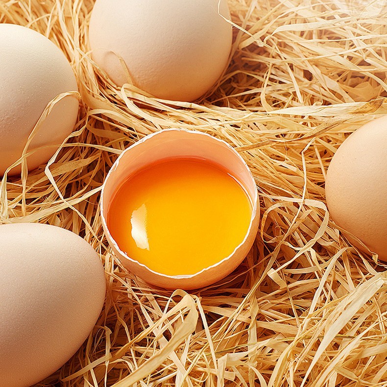 Жидкость из яичного желтка, пастеризованная, чистая, жидкость из яичного белка, жидкость из яичного желтка, жидкость для выпечки, белковая жидкость из яичного желтка