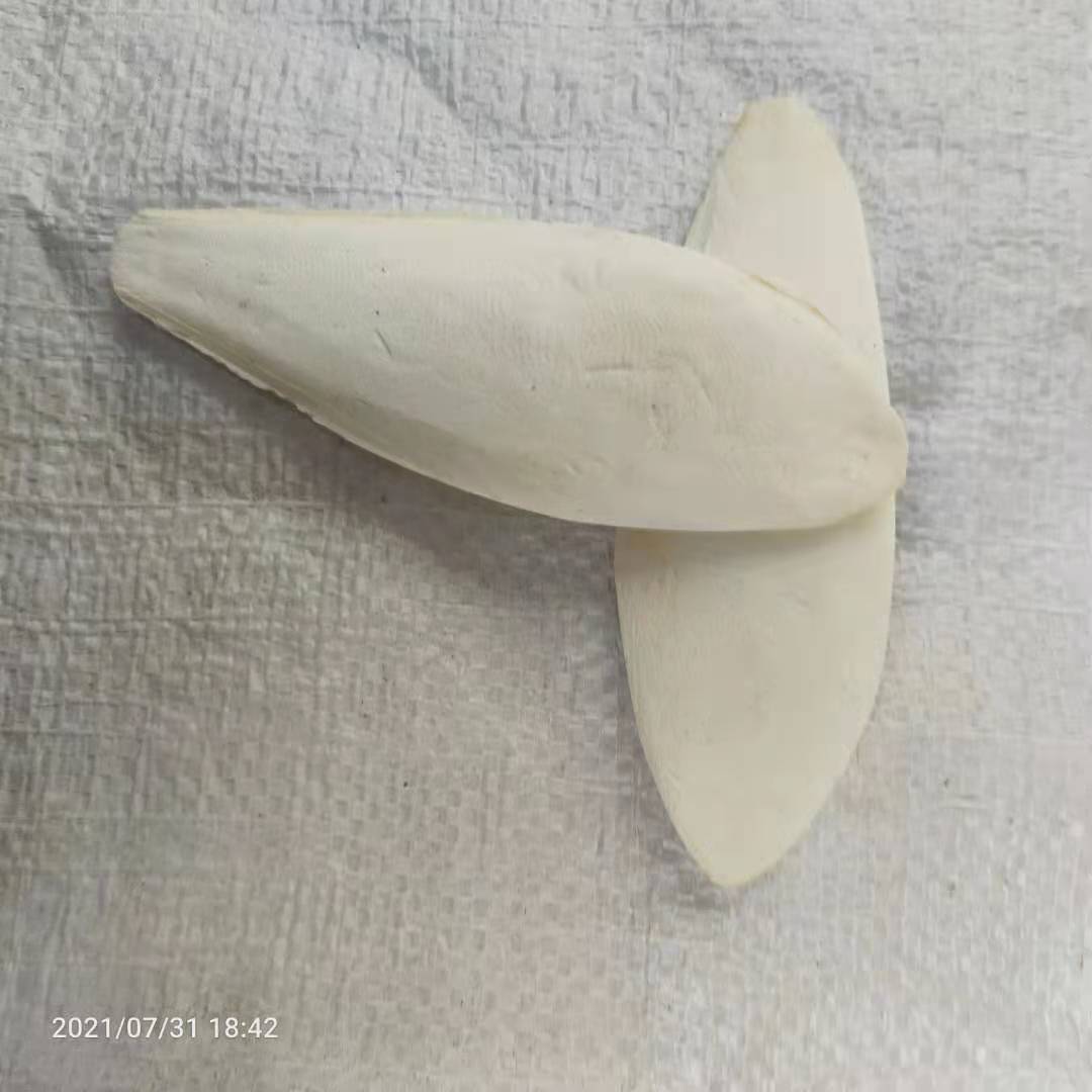 Factory Direct Hair Jellyfish, Cuttlefish Bone Polishing, Bird Pet Teeth Grinding, Calcium Supplement Pieces, Various Specifications