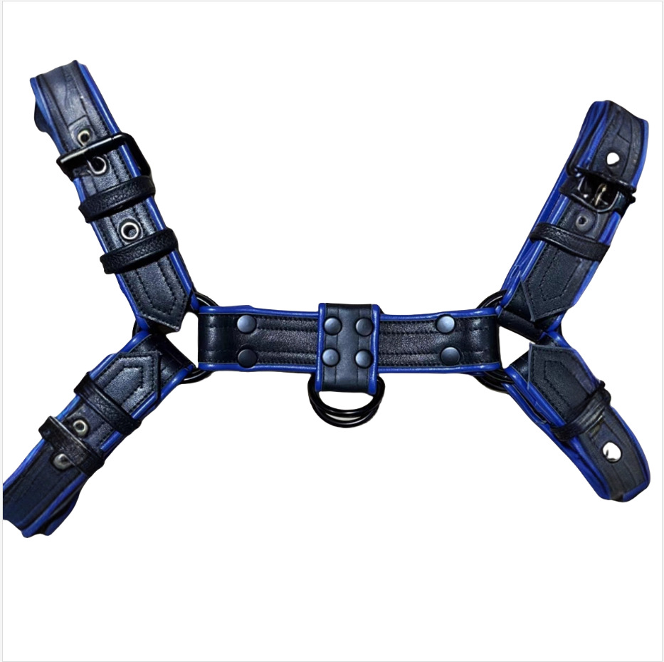 Amazon Specializes in Blue and Black Classy Leather with Air Holes, Double Eyelets, Sexy Chest Straps for Men, and Restraints