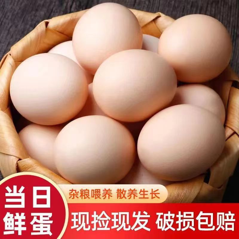 Свежие яйца от кур свободного выгула, местные яйца, яйца от травяного откорма, экологические яйца от травяного откорма