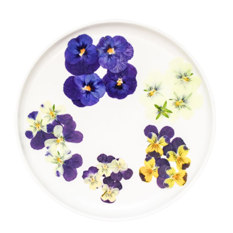 Pansy/Corydalis Dried Flower Baffle/Embossed Material Bag Wholesale Dropping Glue Jewelry Nail Art Face Makeup Phone Shell Decoration