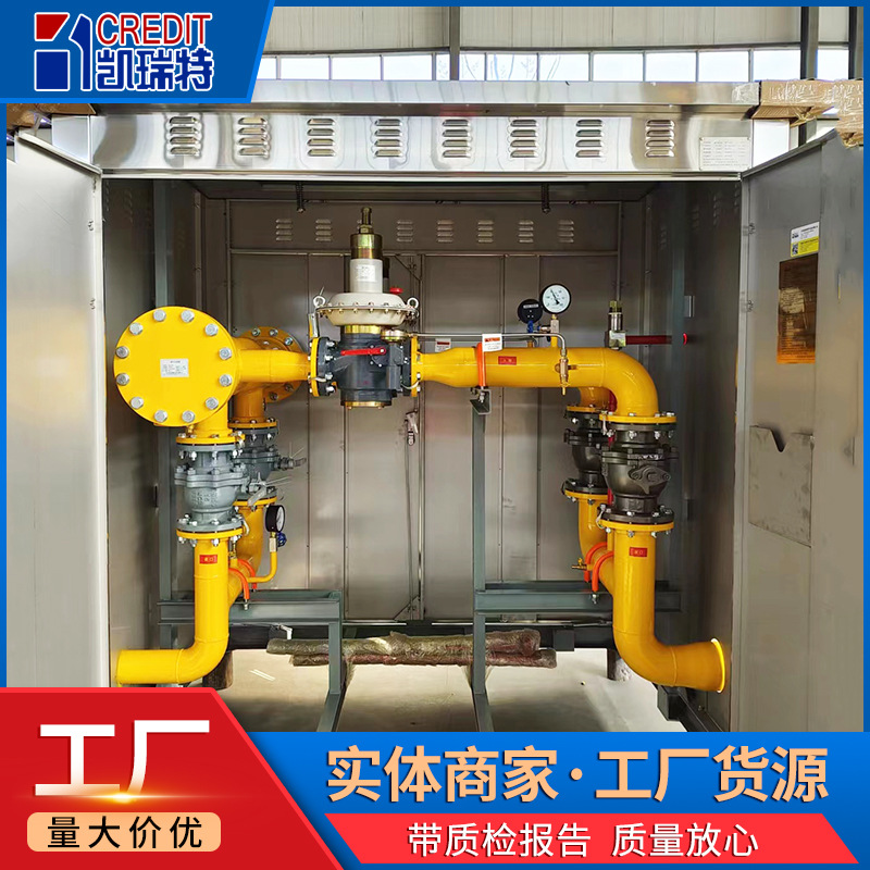 Stainless Steel Gas Pressure Regulating Cabinet Natural Gas Pressure Regulating and Reducing Equipment Gas Boiler Cng Pressure Regulating and Metering Cabinet