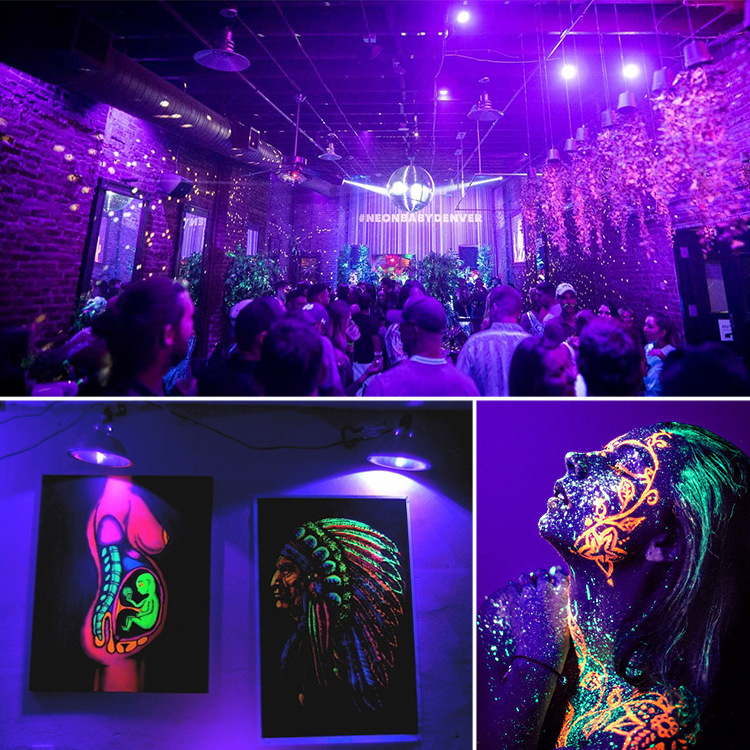 Cross-Border Uv Purple Light Bulb 85-265V 15W 395Nm Fluorescent Bar Stage Light Amazon