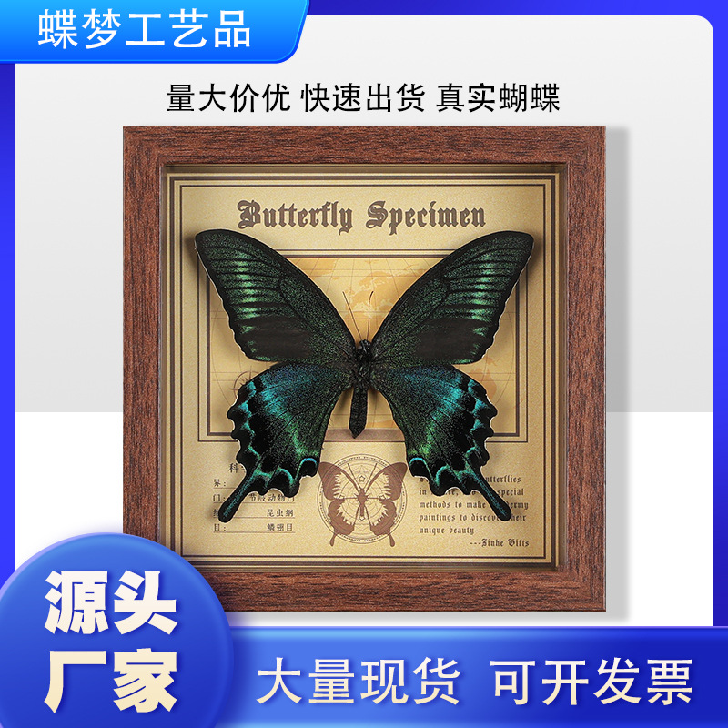 Настоящий Бабочка Экспонат Фото Рамка Декоративная Живопись Стерео Орнаменты Ручная Работа DIY Подарок На День Рождения Насекомое Экспонат