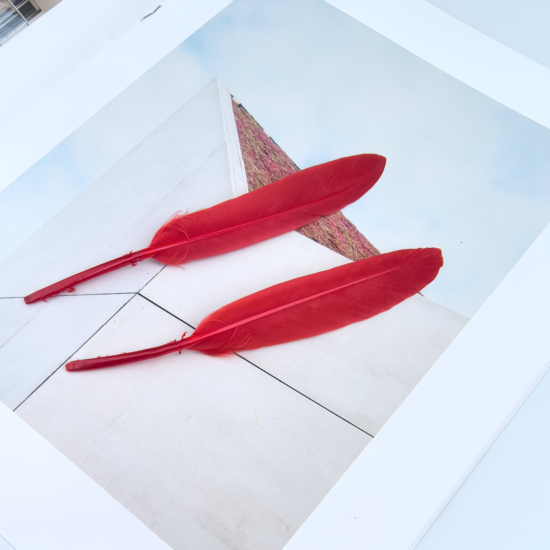 in stock wholesale color goose feather small straight knife feather yiwu diy feather toddler handmade material craft feather