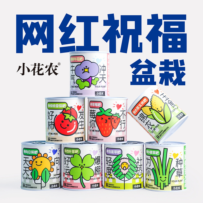 Kindergarten Children Planting Small Potted Plants Students Mini Fruit Small Potted Plants Blind Box Office Indoor Desktop Green Plants