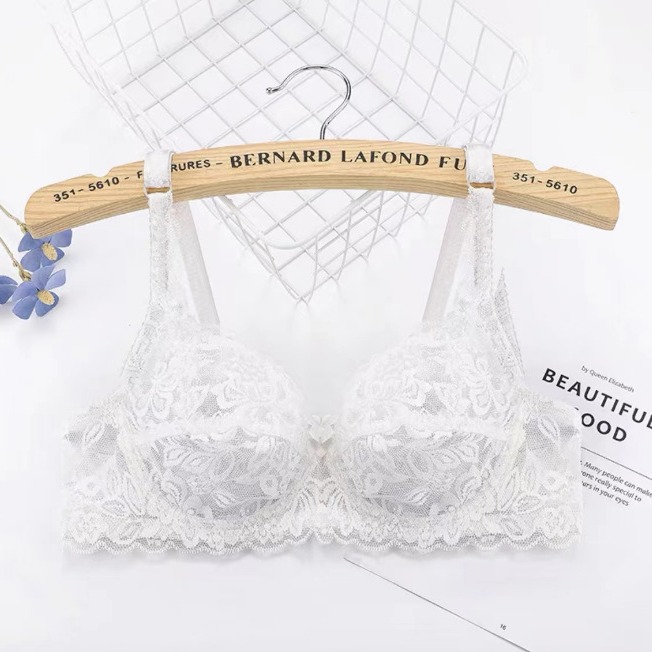 Summer thin European and American underwear spring and summer full lace full transparent sexy steel ring bra wholesale corset 309