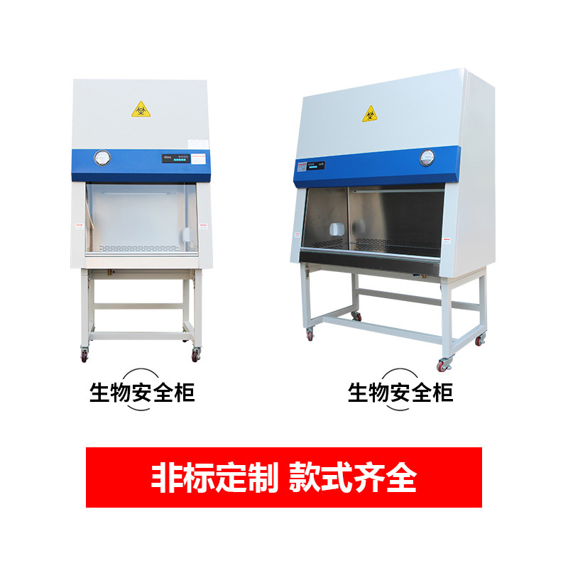 Spot Laboratory Secondary Biological Safety Cabinet Hospital Full Half Row Single and Double Dust-Free Clean Ultra-Clean Workbench