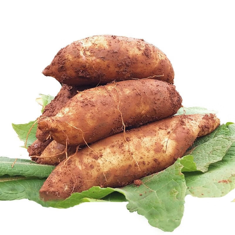 Authentic Yunnan Tianshan Snow Lotus Fruit Fresh Fruit Seasonal Low Sugar Yellow Heart Red Heart Freshly Dug Large Fruit Crispy and Sweet a Whole Box