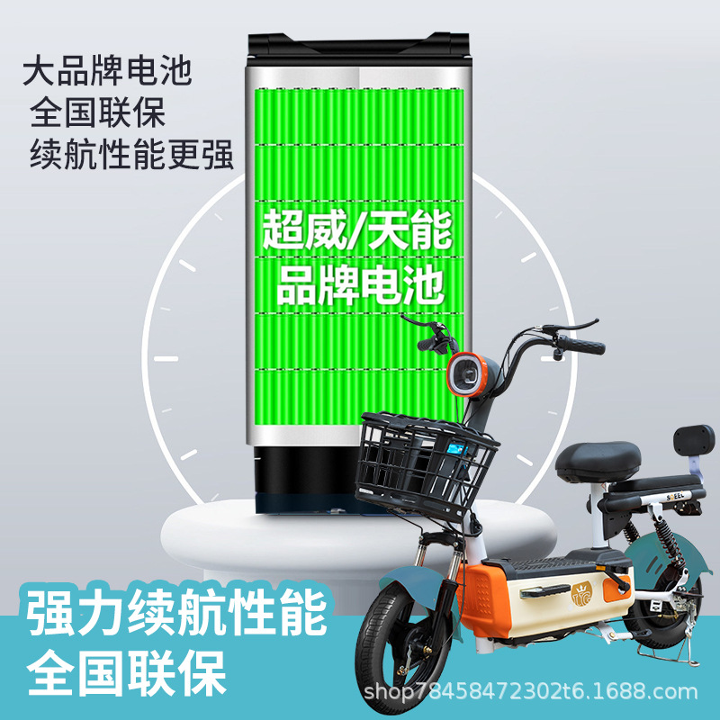 2025 New National Standard Electric Bicycle for Adults, Two-Wheeled Electric Vehicle with Lead-Acid Lithium Battery for Commuting