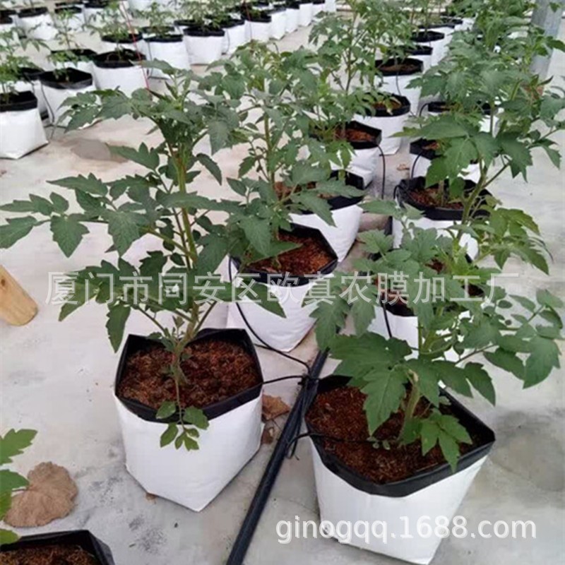White Outside and Black Inside Planting Bag, Agricultural Greenhouse Soilless Cultivation Technology Seedling Bag Growth Bag, Fruit and Vegetable Substrate Bag