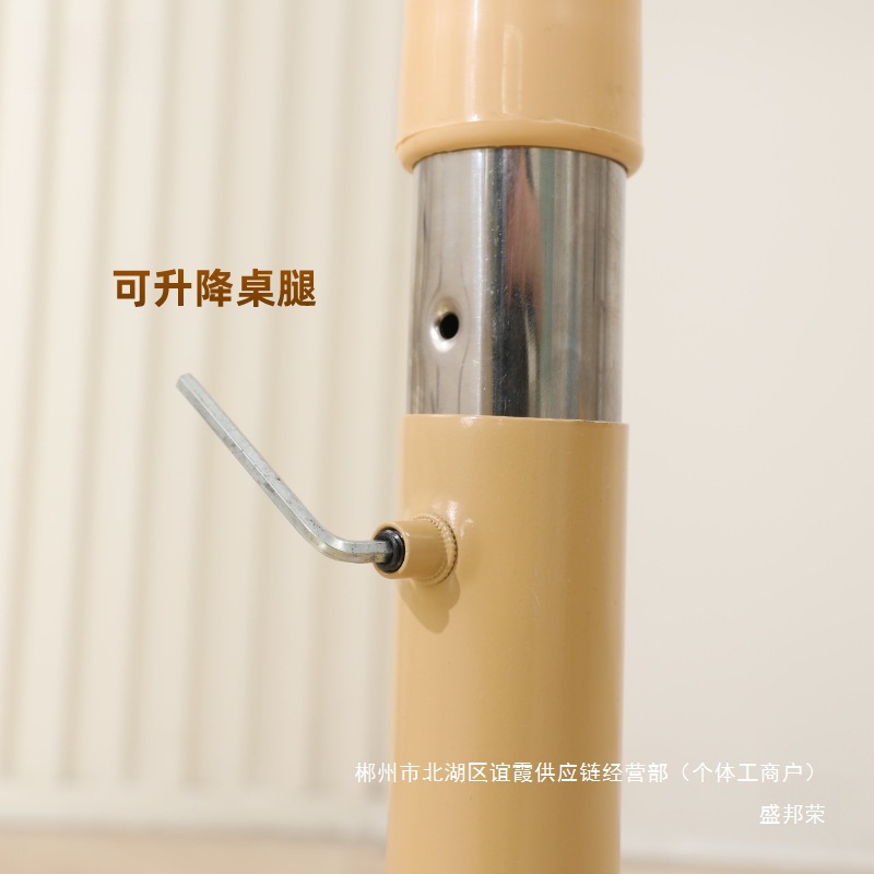 Factory Direct Sales Kindergarten Early Education Adjustable Graffiti Table and Chairs Children's Painting Reading Learning Round Table Multi-Functional Plum