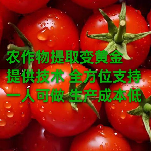 Глубокая переработка протеиновой эссенции для одного человека, низкая стоимость