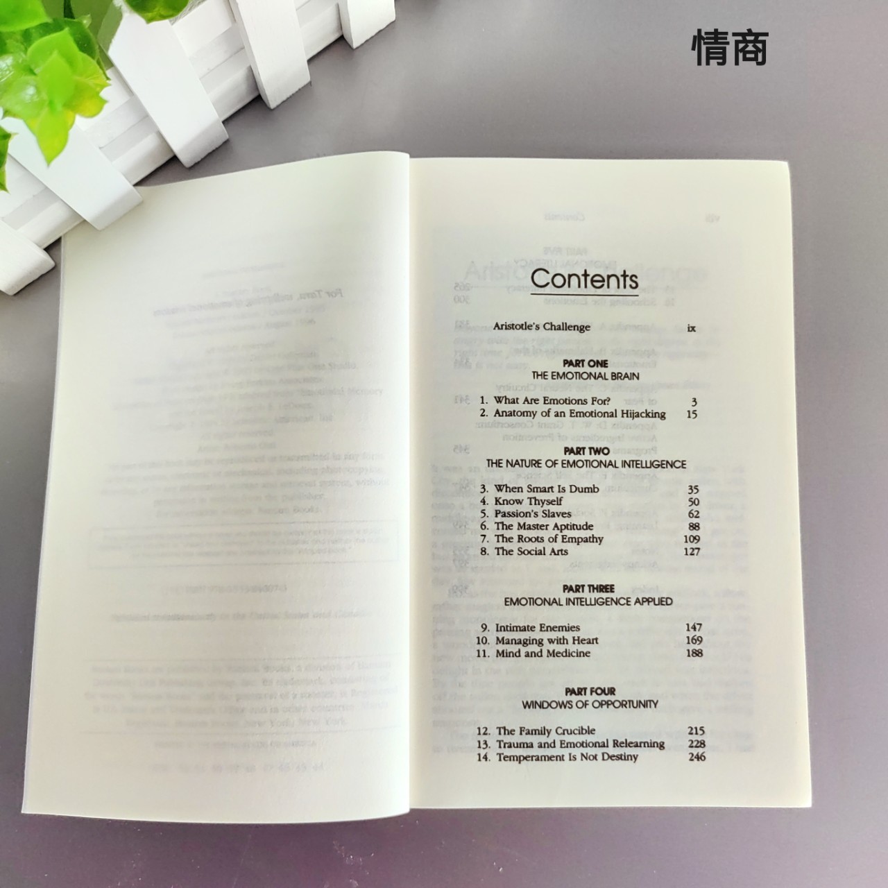 Emotional Intelligence English Version Daniel Golman Emotional Intelligence