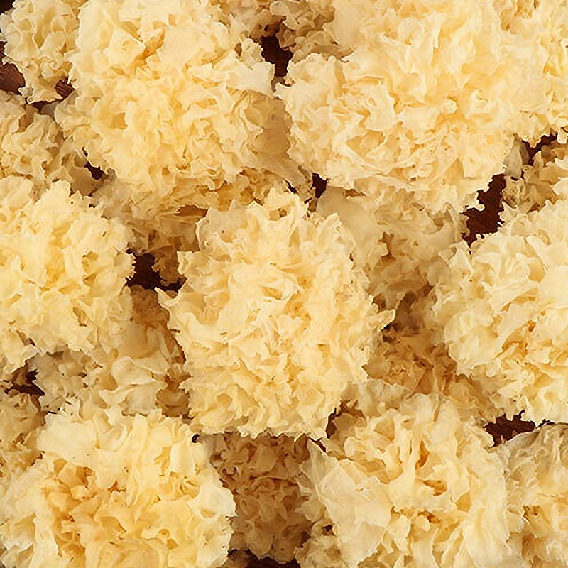 Gutian specialty basswood silver ear bulk 500g new goods easy to produce glue snow ear in stock clean sulfur-free small silver ear wholesale