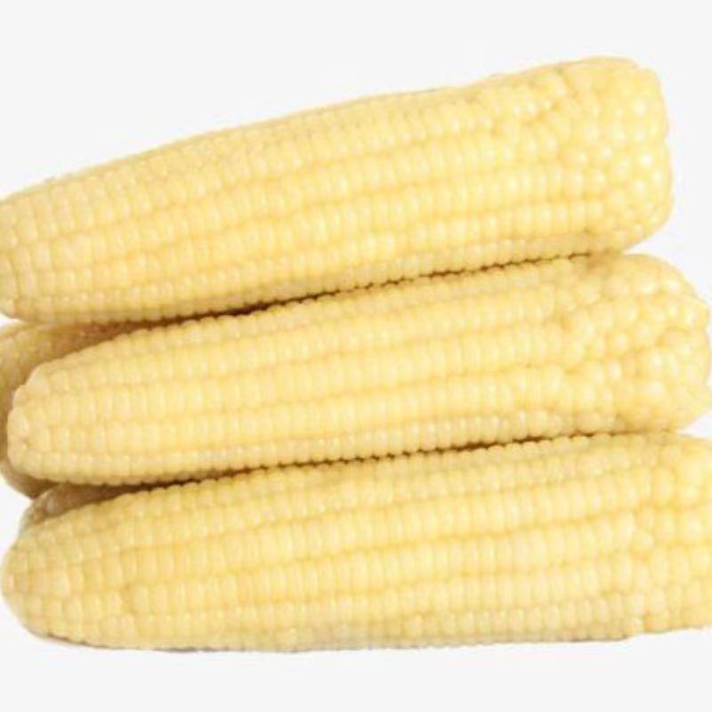 Commercial Wholesale Export Quality Frozen Vegetables for Cafeteria Breakfasts, Fresh and Tender, Pesticide-Free Commercial Glutinous Corn Cobs
