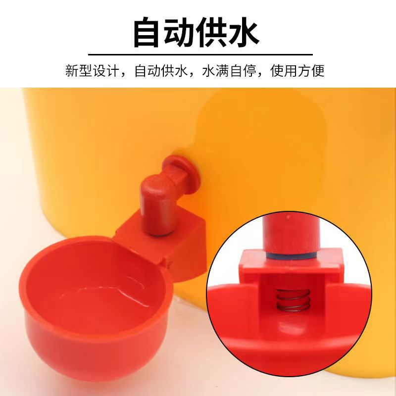 Automatic Water Bowl for Chickens, Ducks and Geese, Chicken Breeding Equipment, Pigeon Water Bowl, Bird Water Dispenser, Quail Chicken Water Tank