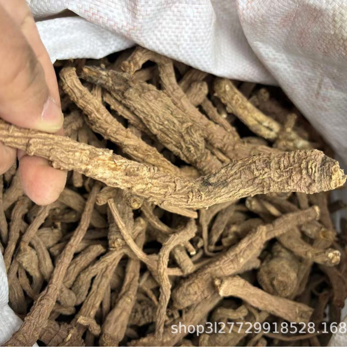 Sichuan Angelica, Angelica Root, Spices, Marinade, Ingredients Wholesale, Sulfur-Free Natural Sun-Drying Produced by Farmers