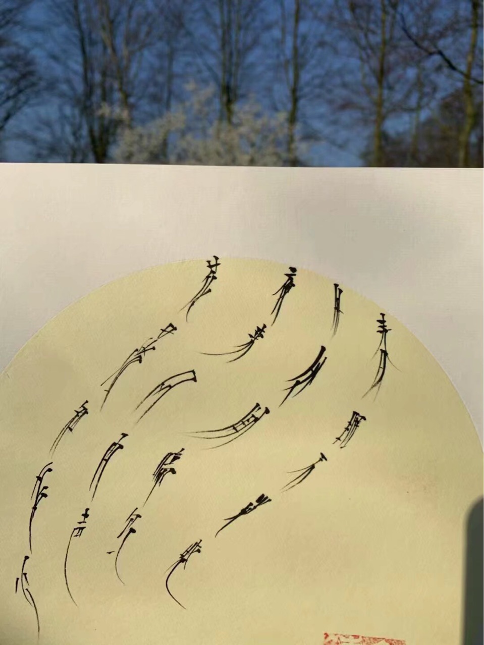 Writing Book Hair Design