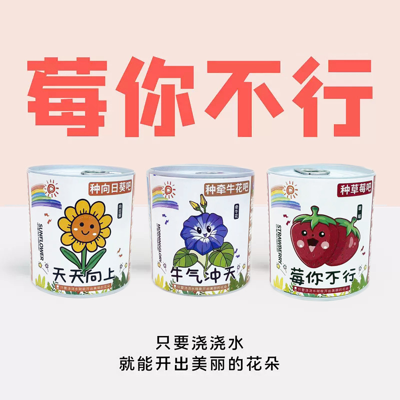 Children Plant Small Potted Plants, Blind Box Mini Flower Farmer Kindergarten, Primary School Students Gift Plant Growth Observation and Germination