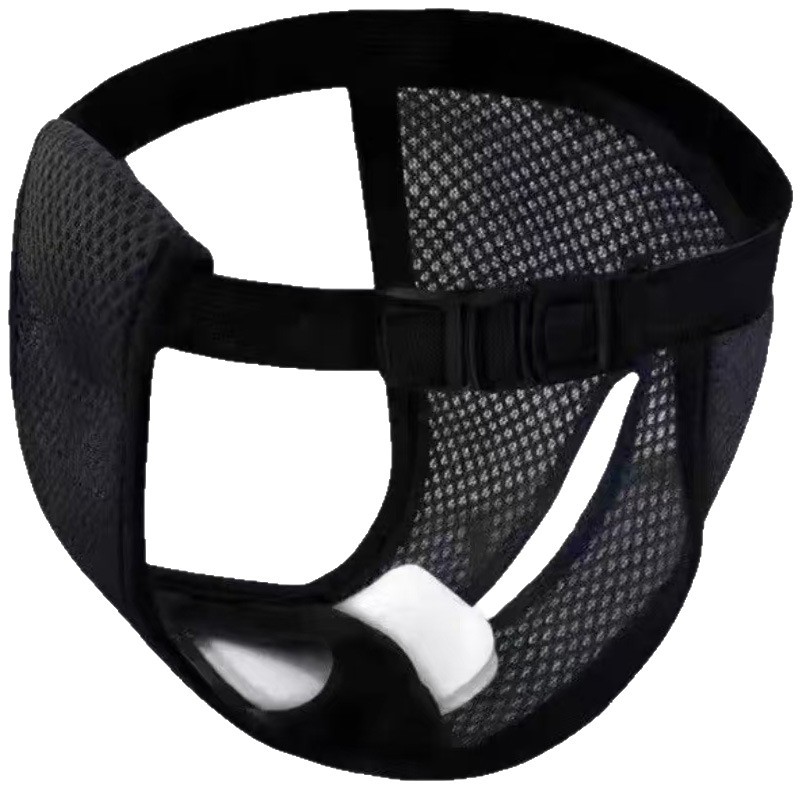 Cross-Border Hot Selling Dog Menstrual Pants Pet Menstrual Pants Safety Pants Pet Sanitary Diapers Anti-Harassment Underwear