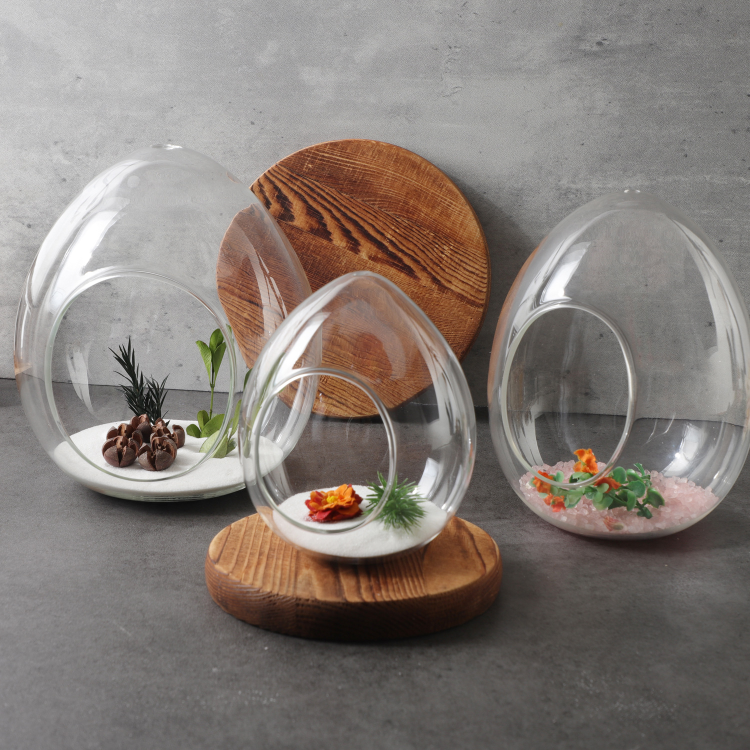 Creative Egg-Shaped Micro-Landscape Transparent Glass Vase Green Plant Succulent Hydroponic Ecological Moss DIY Landscaping Bottle Wholesale