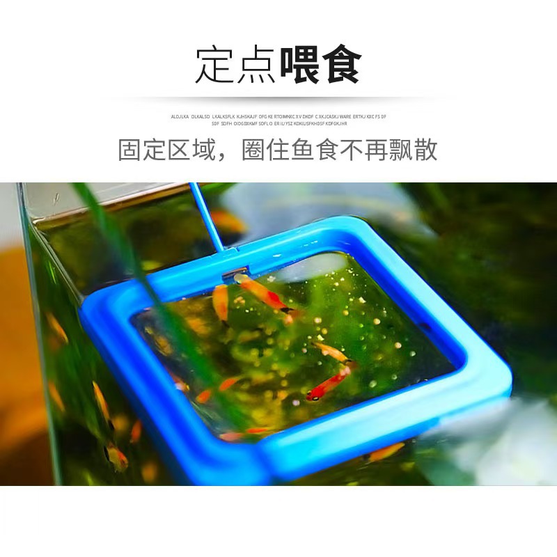 Fish Tank Feeder Fish Feeder Guppy Floating Feeding Ring Feeding Shrimp Feeding Feeding Feeding Feeding Feeding Feeding Feeding Feeding Feeding