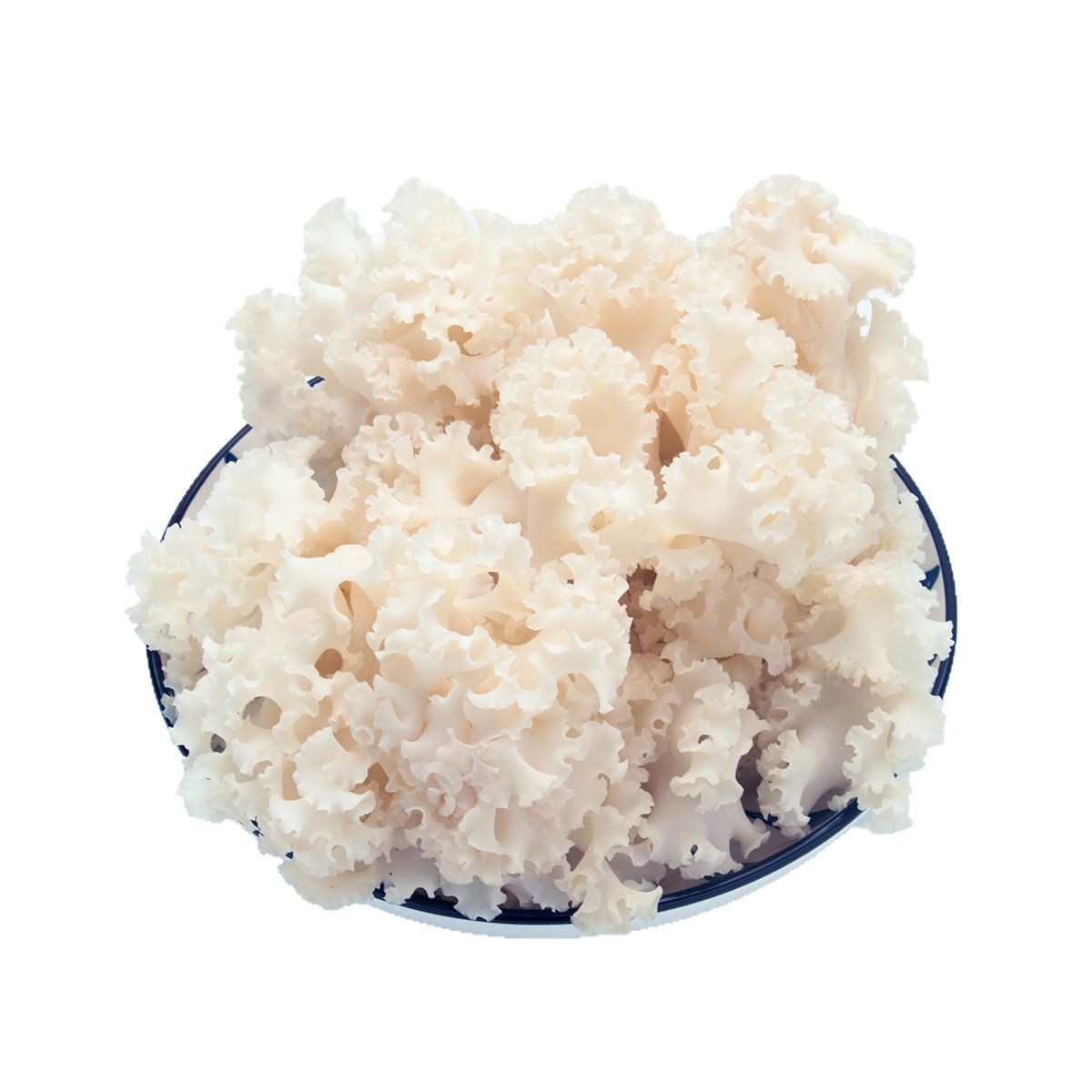 Fresh hydrangea in Gutian, Fujian