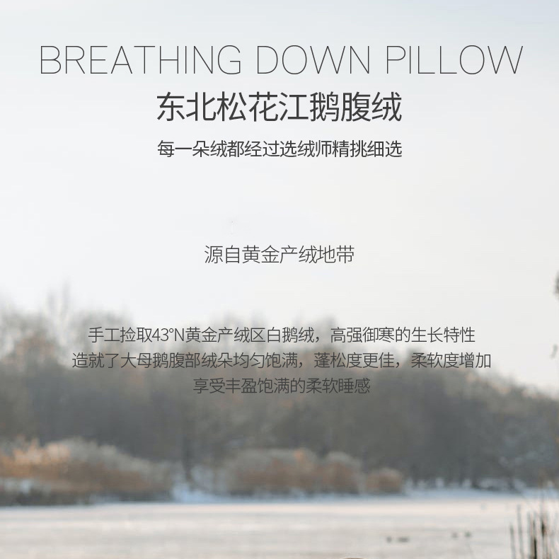 Genuine down Pillow, 100-Count Cotton Satin White Goose down Composite Pillow, Specially Designed for Five-Star Hotels, Cervical Spine Protection Pillow