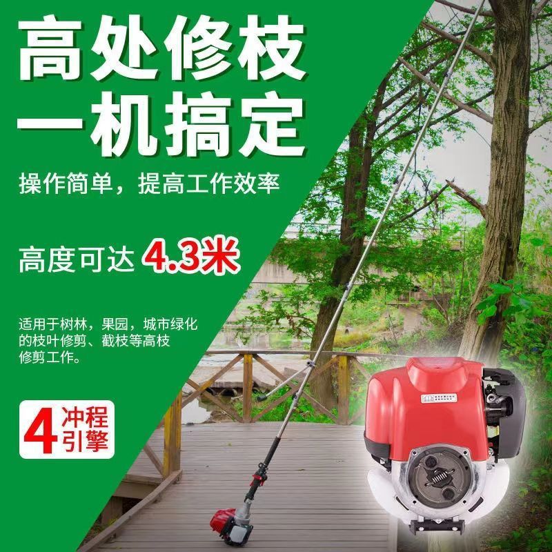 High Branch Saw Gasoline Imported Multi-Functional Landscaping Pruning Saw Extension Pole High Branch Chain Saw High-Altitude Tree Saw