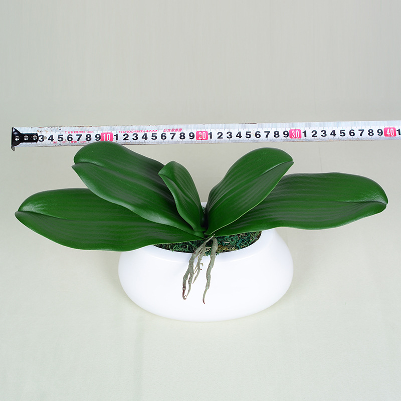 Feel pu phalaenopsis leaves artificial plant orchid leaf film phalaenopsis potted leaves wholesale