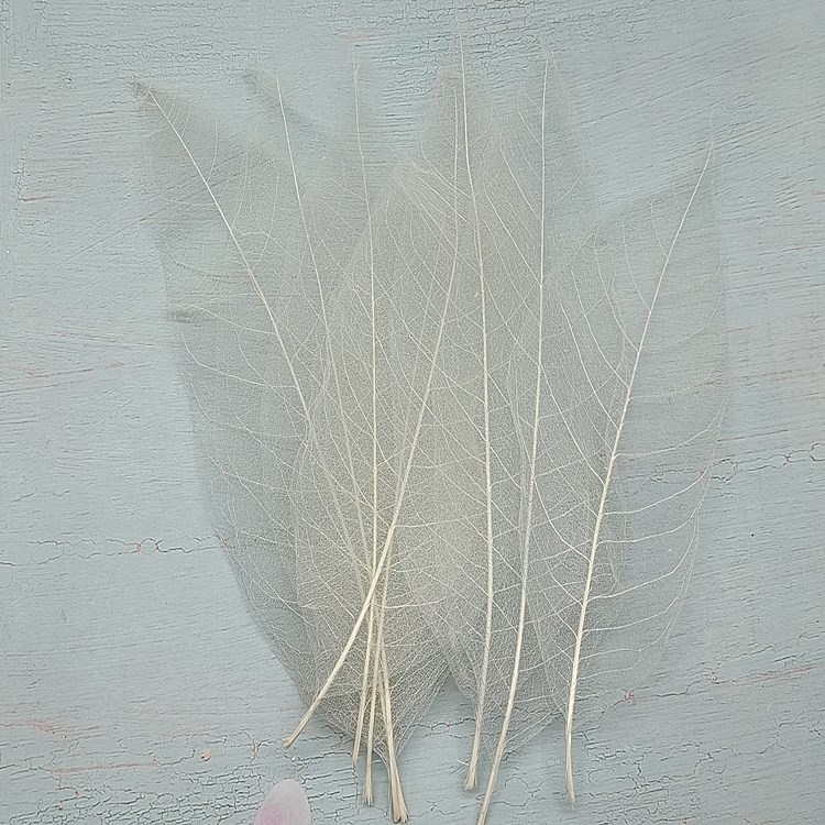 Leaf Vein Magnolia Leaf Vein Boutique Leaf Bookmark Diamond Leaf Photo Frame Wall Decoration Embossing Factory Direct Sale