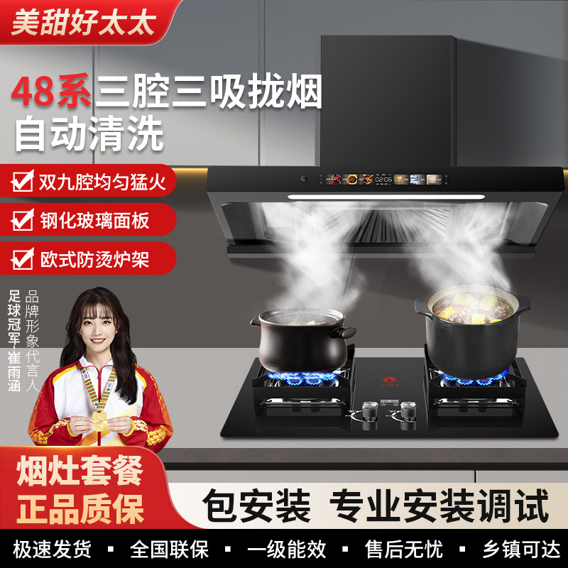 Beautiful and Sweet Good Wife Range Hood Rental Home Smoke Stove Set Fierce Fire Gas Stove Home Double Stove Smoke Stove Set
