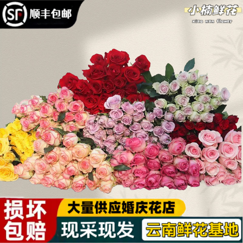 Свежие розы из Юннани, прямая доставка через Sf Express с бесплатной доставкой, свежесрезанные цветы для домашнего использования, цветочные композиции, цветы на День святого Валентина, оптовая прямая доставка