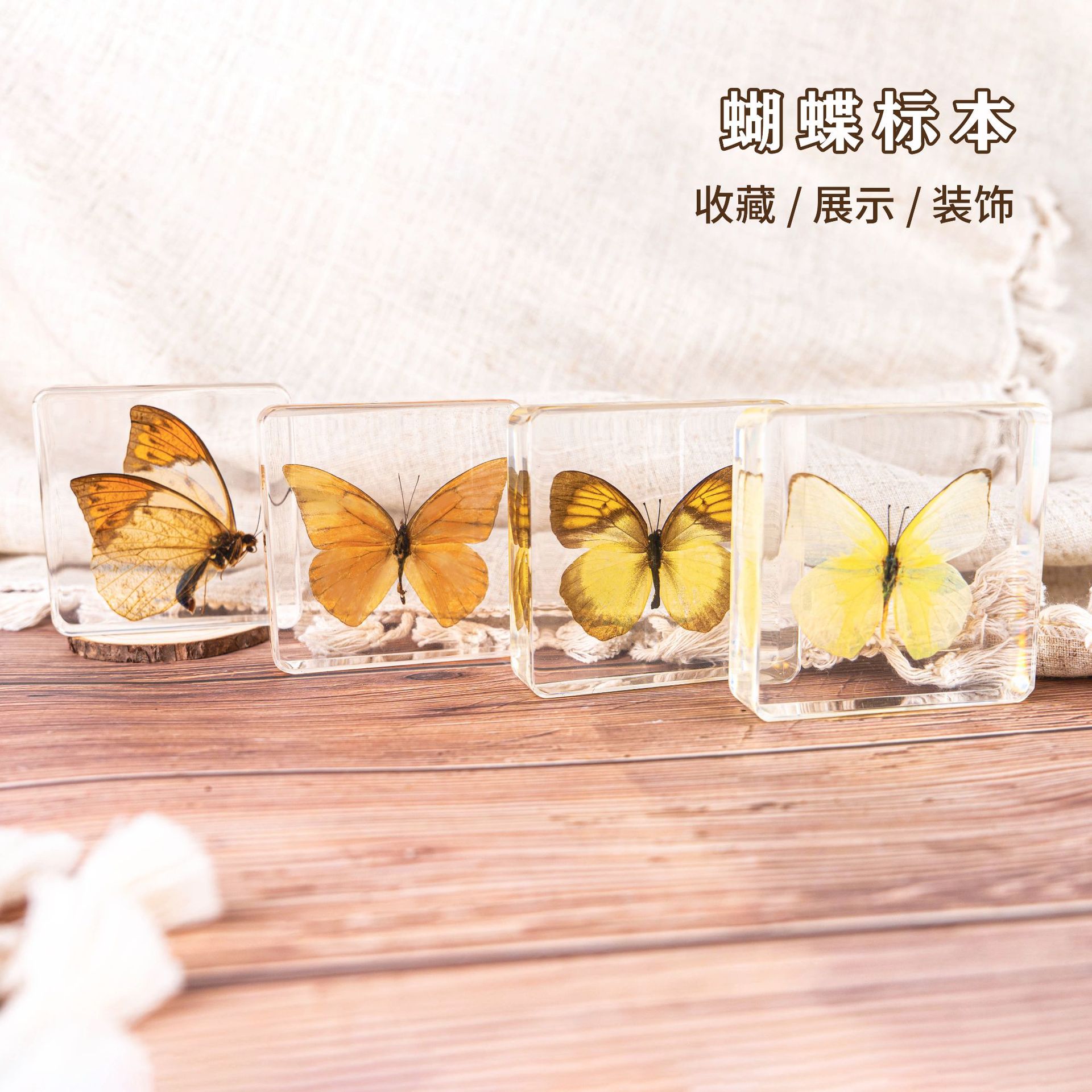 Market Stall Scenic Spot Hot Selling Insect Amber Specimen Butterfly Specimen Crafts Travel Souvenir Creative Ornaments