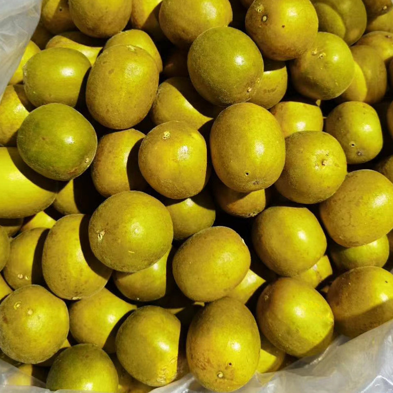 Luo Han Guo Factory Wholesale Low Temperature Dehydrated Gold Luo Han Guo Tea Guangxi Guilin Yongfu Agricultural Products Flower and Fruit Tea