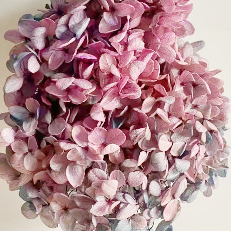 Eternal Flower Class A Wood Hydrangea Flower Head Handmade Material Diy Bag Valentine's Day Gift Box Filler Glass Cover Headwear